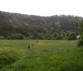 Our group begins its ascent up Box Hill.