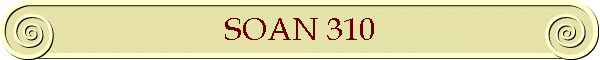 SOAN 310