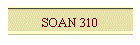 SOAN 310