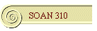 SOAN 310