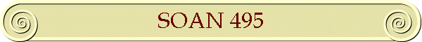 SOAN 495
